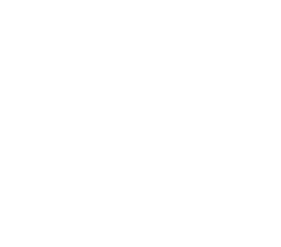 Cv Oscar Gabriel Calvillo Salguero...